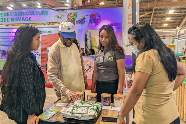 Marketing et Communication Stratégique Marketing et Communication Stratégique